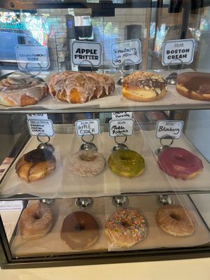 look at this selection, so hard to choose! at Dottie's Donuts - Queen Village in Philadelphia