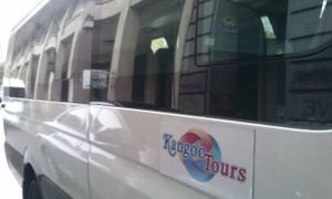 The Minibus. Vegan Tour by Kangoo Tours Buenos Aires at Kangoo Tours in Buenos Aires