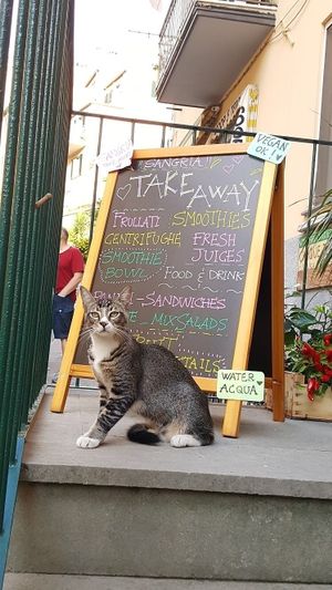 Friend ❤ at Britta Take Away in Riomaggiore