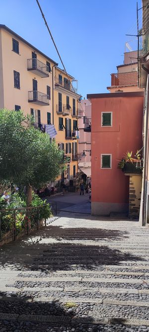 We perched up the street to eat our tasty lunch. Britta is just down there! at Britta Take Away in Riomaggiore