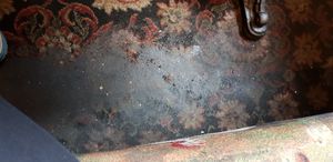 Tiles might be better to keep clean at The Caledonia in Liverpool