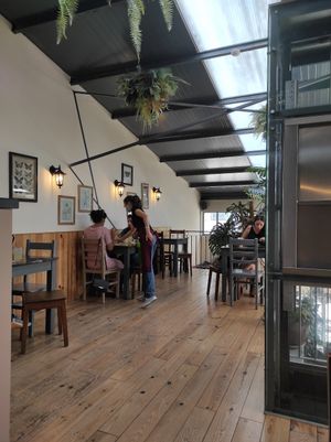 Upstairs at Terrarea in Matosinhos