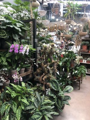 Loja at Terrarea in Matosinhos