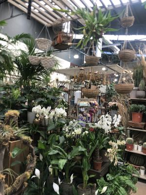 Loja at Terrarea in Matosinhos