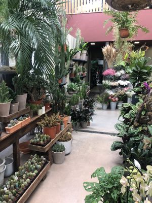 Loja at Terrarea in Matosinhos