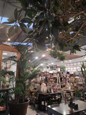 Inside at Terrarea in Matosinhos