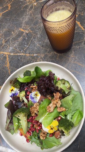   at Terrarea in Matosinhos