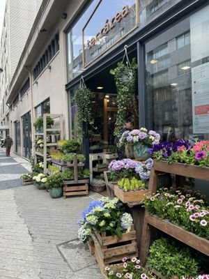 What a beautiful place for a meal and coffee ☕️   at Terrarea in Matosinhos