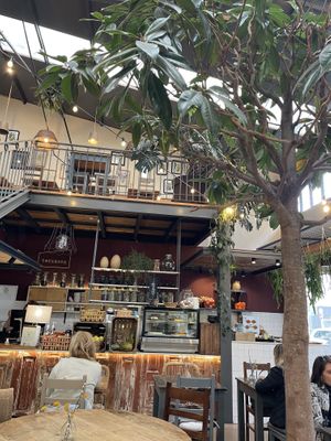 A tree inside the venue 🌳🤩   at Terrarea in Matosinhos