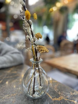 💫   at Terrarea in Matosinhos