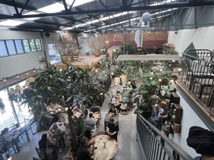   at Terrarea in Matosinhos