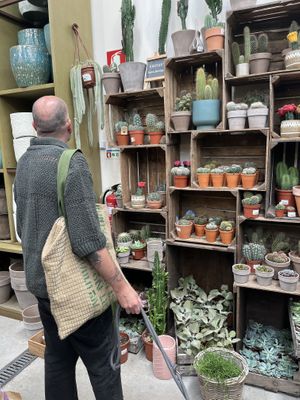   at Terrarea in Matosinhos