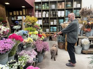   at Terrarea in Matosinhos