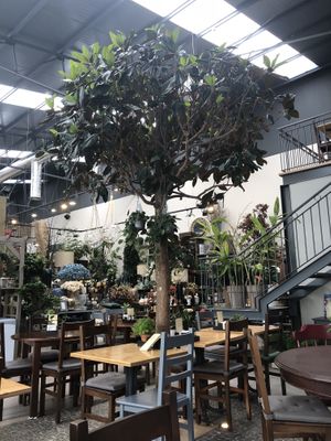 Beautiful atmosphere at Terrarea in Matosinhos