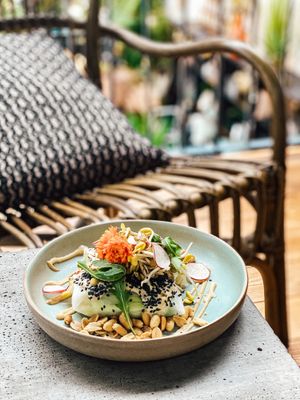 Spring Rolls at Terrarea in Matosinhos