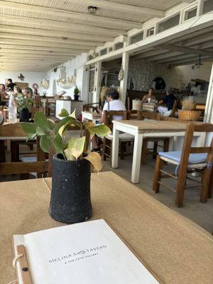   at Melina's Tavern in Santorini