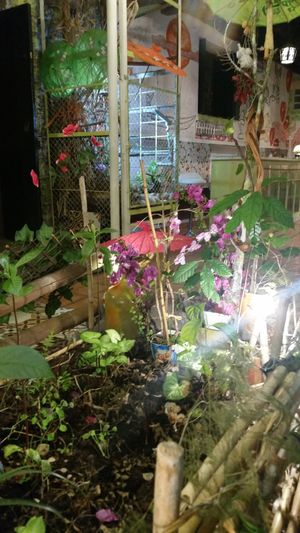 Impression of the place at Coraçao Vegano in Funchal