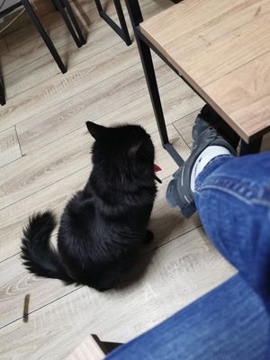  at Ankara Falafelcisi in Ankara