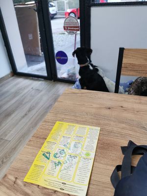  at Ankara Falafelcisi in Ankara