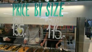 Salad bar prices  at OSL - Haven - E8 in Gardermoen