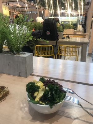 I stacked my bowl   at OSL - Haven - E8 in Gardermoen