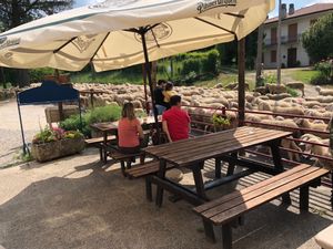 A large flock of sheep (and misbehaving goats) passed in front of the restaurant while we’re enjoying our incredible meal.  So much fun! at Ecosteria Parco Santi Angeli in Santi Angeli