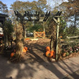 Trellis at Morning Glory Farm in Edgartown
