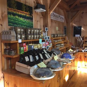 Coffee & goodies at Morning Glory Farm in Edgartown