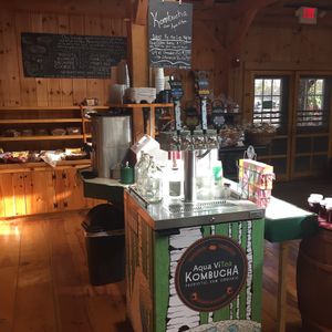 Kombucha at Morning Glory Farm in Edgartown