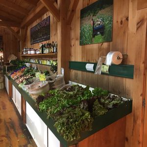 Greens at Morning Glory Farm in Edgartown