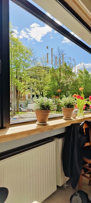  at Cafe Juli in Aachen