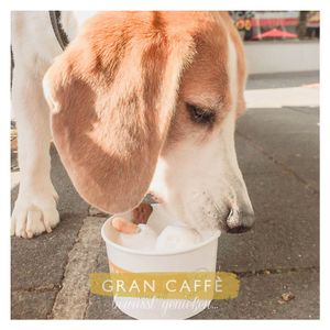 Gratis Hundeeis!
 at Gelateria Gran Caffe in Bruchsal