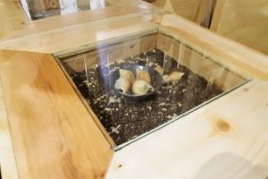 Creative desktop design  at Art Nature Cafe - Penang in Penang