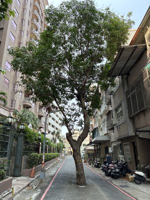   at Dileep's Indian Healthy Vegetarian in Kaohsiung