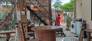 Owner administering medicine to dogs at Bom Bowls in Pai