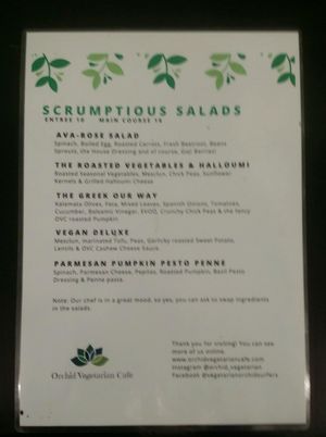 menu 1 at Orchid Vegetarian Cafe in Surfers Paradise