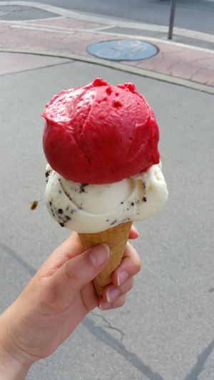 😍 at Veganista Ice Cream V in Vienna