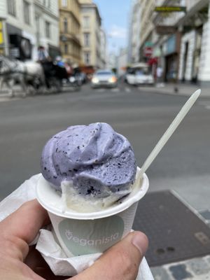 Lavendel Kokos at Veganista Ice Cream V in Vienna
