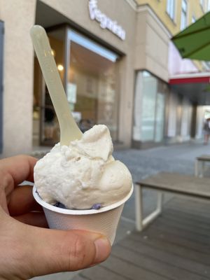 Kokos Lavendel at Veganista Ice Cream V in Vienna