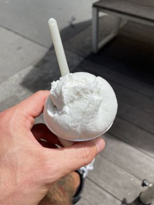 Kokos at Veganista Ice Cream V in Vienna