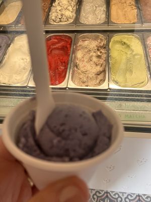 Ik nam lavendelijs, super lekker!  at Veganista Ice Cream V in Vienna