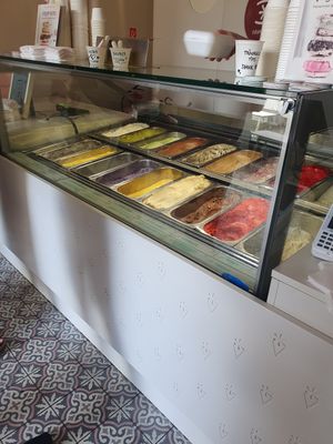  at Veganista Ice Cream V in Vienna