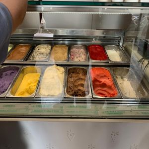  at Veganista Ice Cream V in Vienna