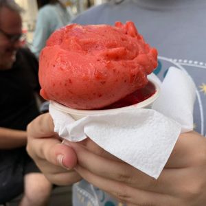 Strawberry-agave (top) and raspberry at Veganista Ice Cream V in Vienna