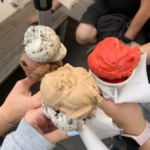  at Veganista Ice Cream V in Vienna