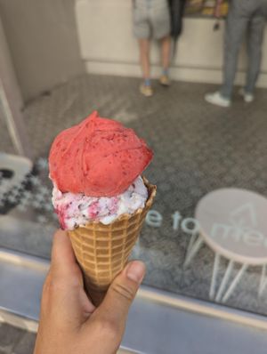  at Veganista Ice Cream V in Vienna