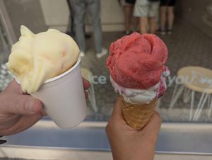  at Veganista Ice Cream V in Vienna