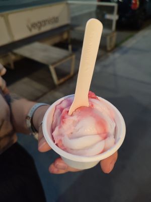  at Veganista Ice Cream V in Vienna