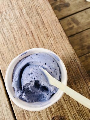 Berry-Lavender at Veganista Ice Cream V in Vienna