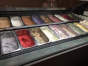 Options  at Veganista Ice Cream V in Vienna